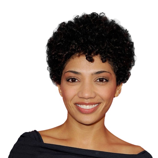 Afro Kinky Curly Human Hair Wig African American Short Wig for Black