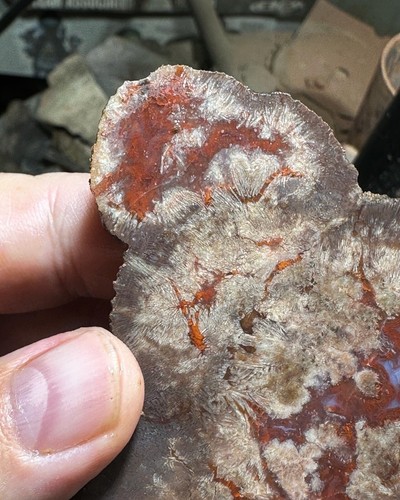 Agatized Utah Barite nodule slab - Picture 5 of 8