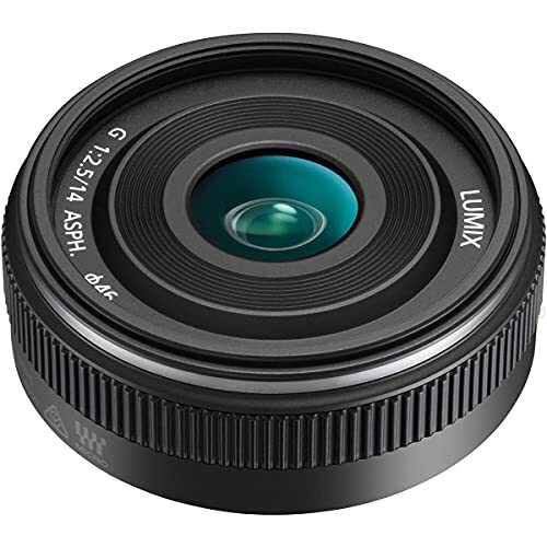 Panasonic Single Focus Wide Angle Lens Micro Four Thirds Lumix G 