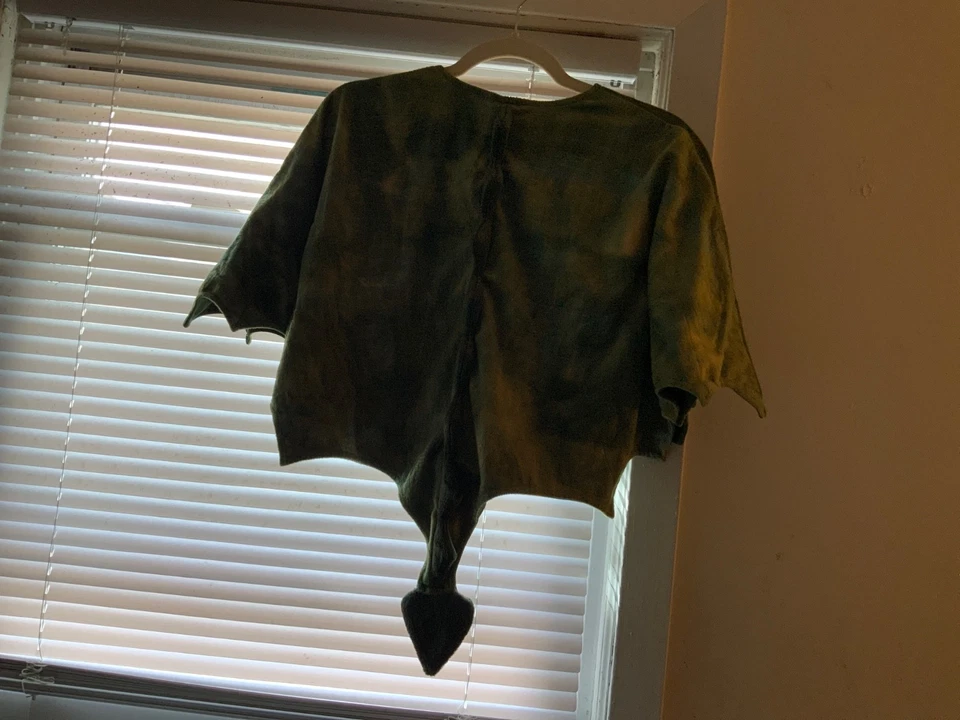 Gymboree, Ханна Андерсон качество 4t 5t дракон костюм для Хэллоуина с раннего - Изображение 2 из 3