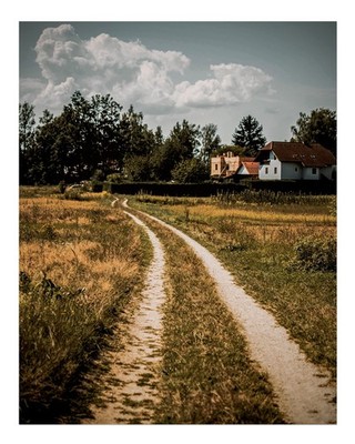 Serener Landweg Wandkunst Natur Landschaft Druck Realistische Natur La