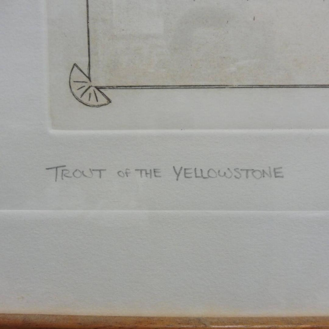 Trout Of The Yellowstone Bymikestidham Lure | eBay