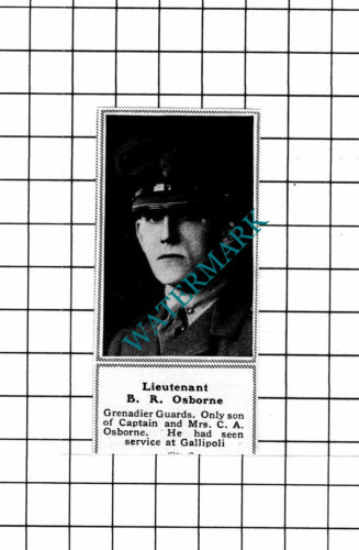 Lt B R Osborne Grenadier Guards - c.1918 SMALL Clipping - Picture 1 of 1