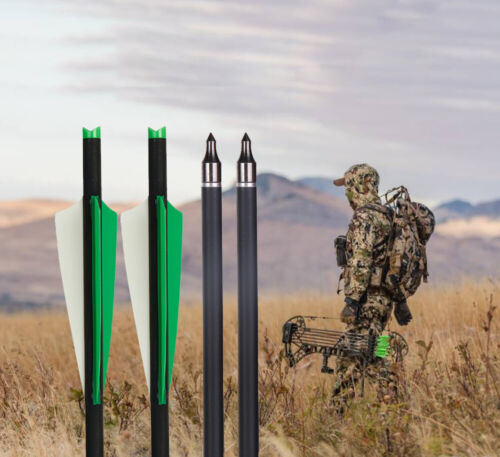 12PACK Bogenschießen 20" Carbon Bolzen Pfeile OD 8.8MM Jagd Weitere Sportarten - Bild 12 von 45