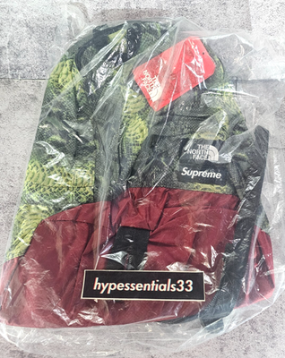 Supreme North Face Lightweight Daypack Backpack Snake Green SS18 