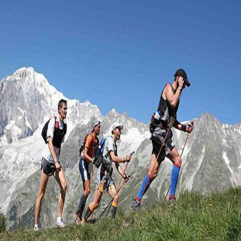 2X Trekking Poles Nordic Walking Hiking Sticks Adjustable Anti-shock Alpenstock