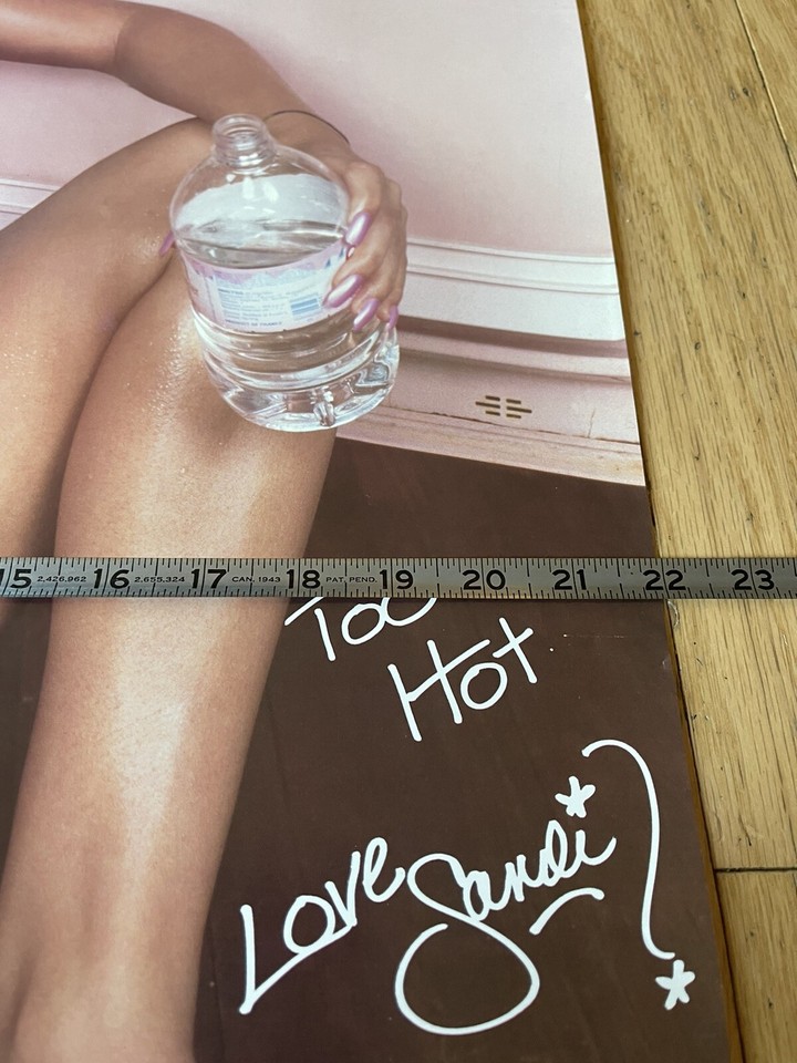 Vintage POSTER Sandi Korn Too Hot 1 Sandra Taylor Sexy Penthouse Pet