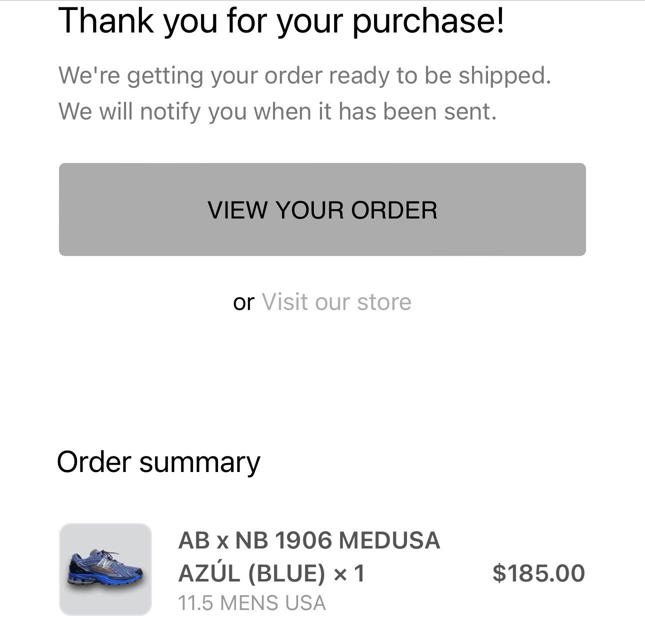New Balance Action Bronson x 1906R Medusa Azul Action Bronson Baklava 11.5 Mens image 5