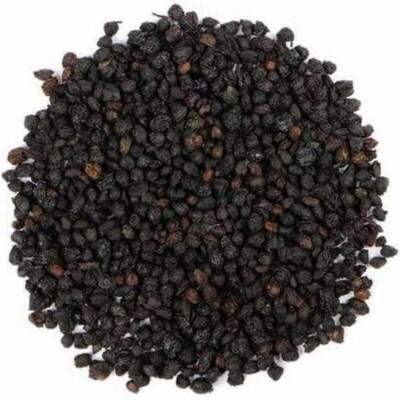 Elderberry Organic Dried / Farm Fresh Packed USA Free Ship