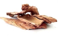 Arjuna Bark Arjun Chhal Terminalia Arjuna Arjun Tree Bark Pure  Raw Herb -250gm