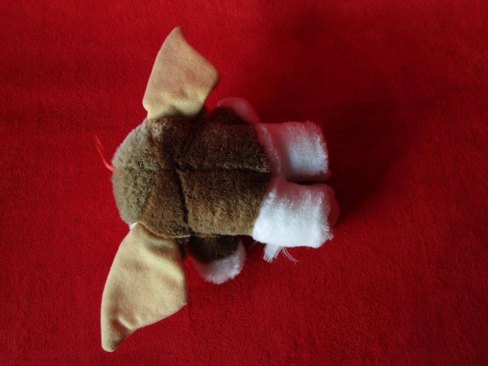 Bild 9 von 10