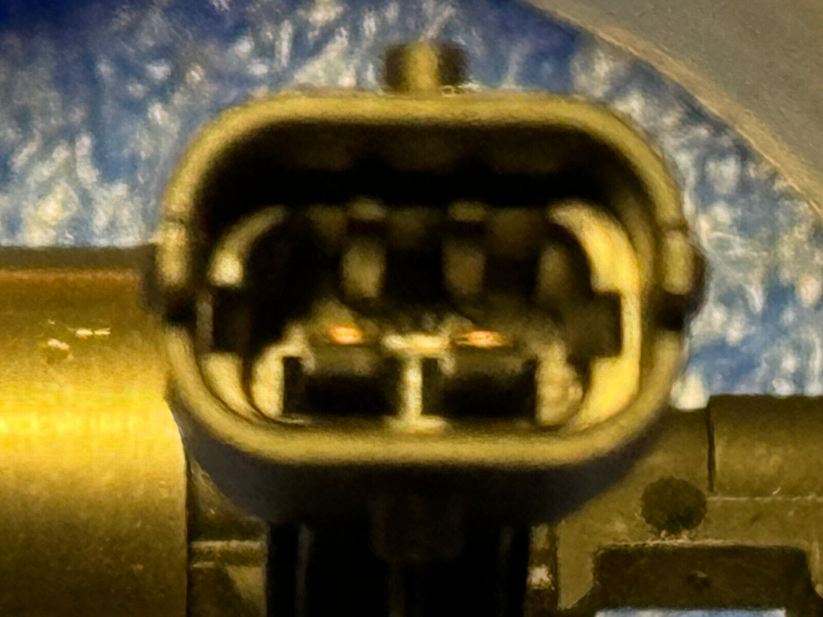 Picture 5 of 6