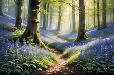 Realistic Landscape Sunlit Bluebell Glade Canvas Wall Art Picture