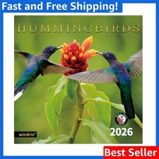 2026 Wall Calendar Featuring Colorful Hummingbirds Durable Stunning Design