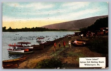Postcard Williamsport PA Goose Island, Sylvan Dell Bathing Beach 1911