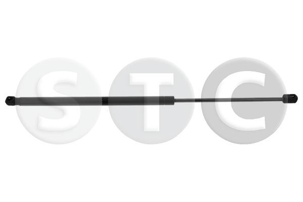STC Gasfeder DäMpfer Heckklappe Beidseitig FüR Skoda Fabia II 542 545-image