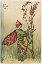 Sauerampfer Fee von Cicely Mary Barker. Sommerblumenfeen um 1935 alter Druck