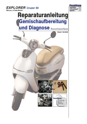 Reparaturanleitung RIS Explorer Cruzer 50, ECS, Gemischaufbereitung + Diagnose