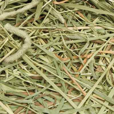 Oxbow Western Timothy Hay 425gm, 1.1kg or 2.55kg