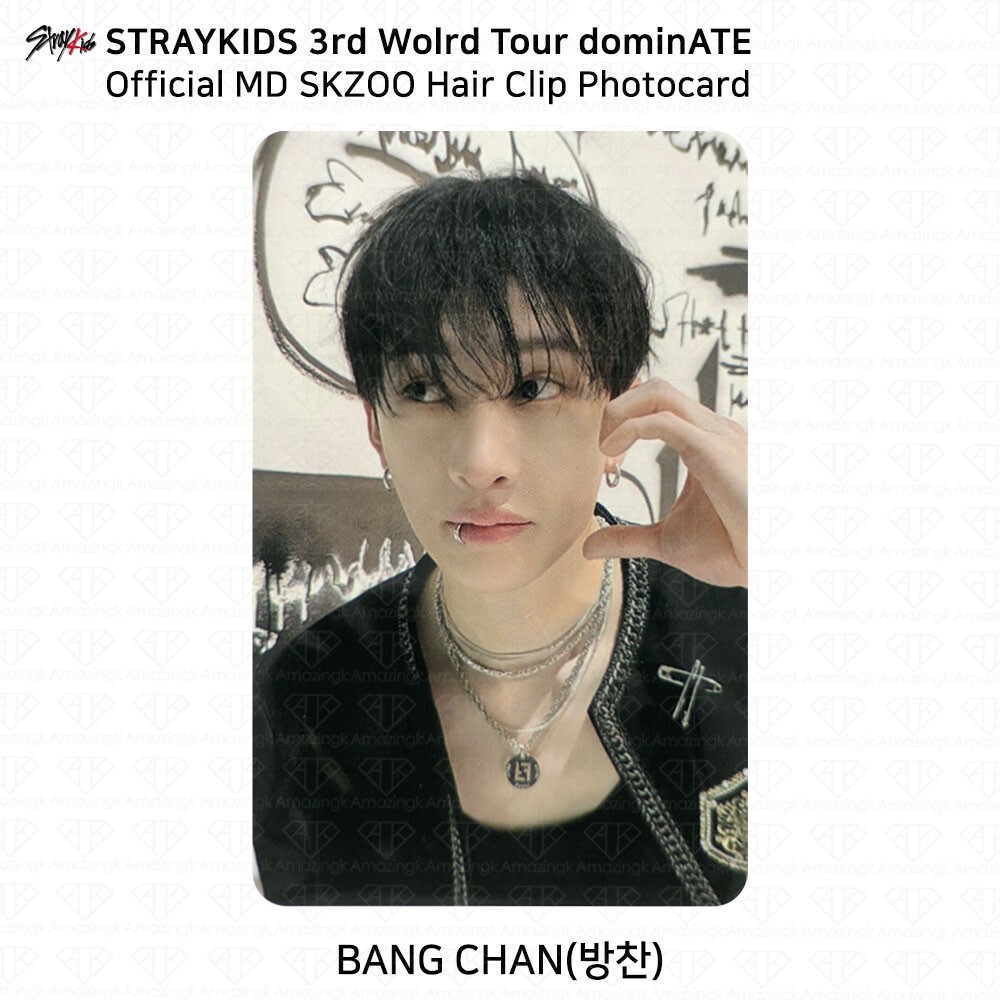 Stray Kids 3rd World Tour dominATE Official MD SKZOO Hair