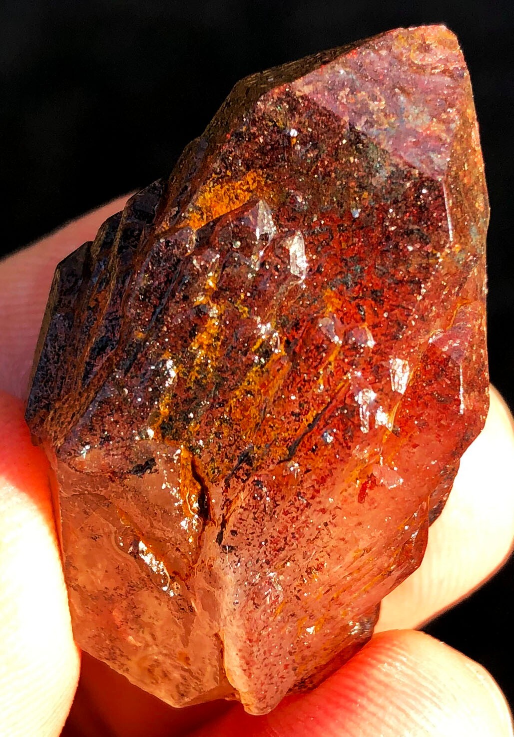Foto 11 di 14