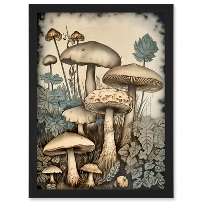 Pilz Pilze Aquarell Vintage Cottagecore Ästhetisch Gerahmt Kunstdruck A4