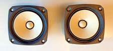Coppia di Fostex FE126E