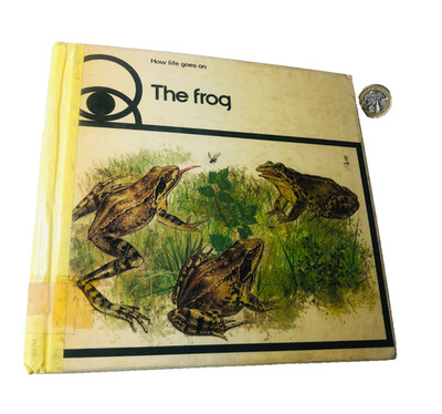 Book The Frog How Life Goes On Vintage ra