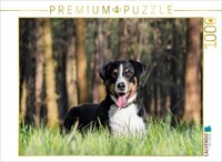 Calvendo Puzzle In The Forest | 1000 Pieces, Finished Size 25.2 × 18.9 In (64 ×
