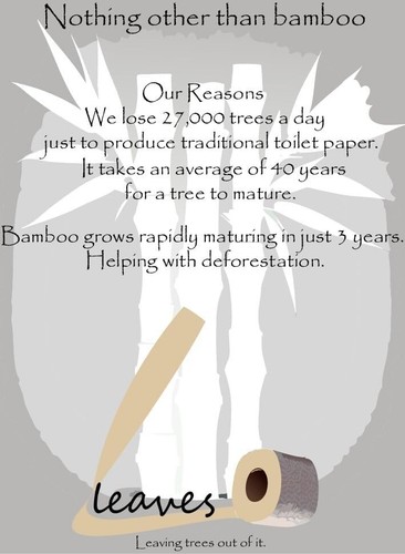 Papel higiénico de bambú sin blanquear | Sin pfas | 400 hojas | Paquete Jumbo 60 rollos | - Imagen 8 de 24