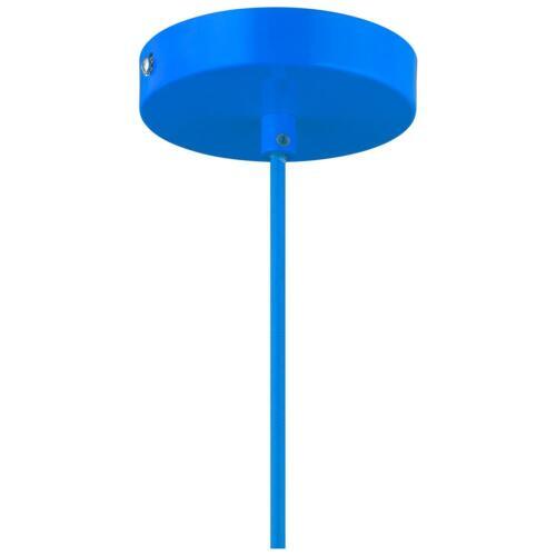 10" Hanging Canopy Cage Light with 4Ft Adjustable Cord, Blue, 60W, E26