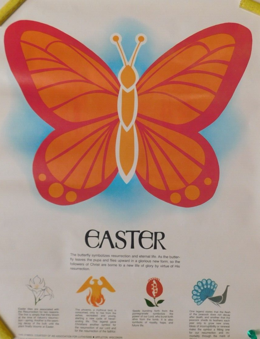 Foto 1 di 9