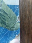Foto 3 di 6