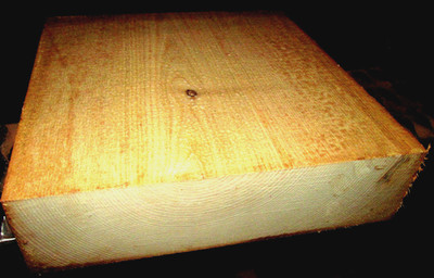 NICE THICK SASSAFRAS BOWL BLANKS TURNING BLOCKS LUMBER WOOD LATHE 12'' X 12'' X 4''