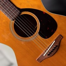 FG-150 Red Label Sound with Hard Case