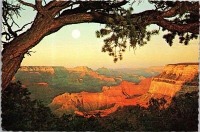 Vintage Grand Canyon National Park Arizona Scenic Landmark Postcard