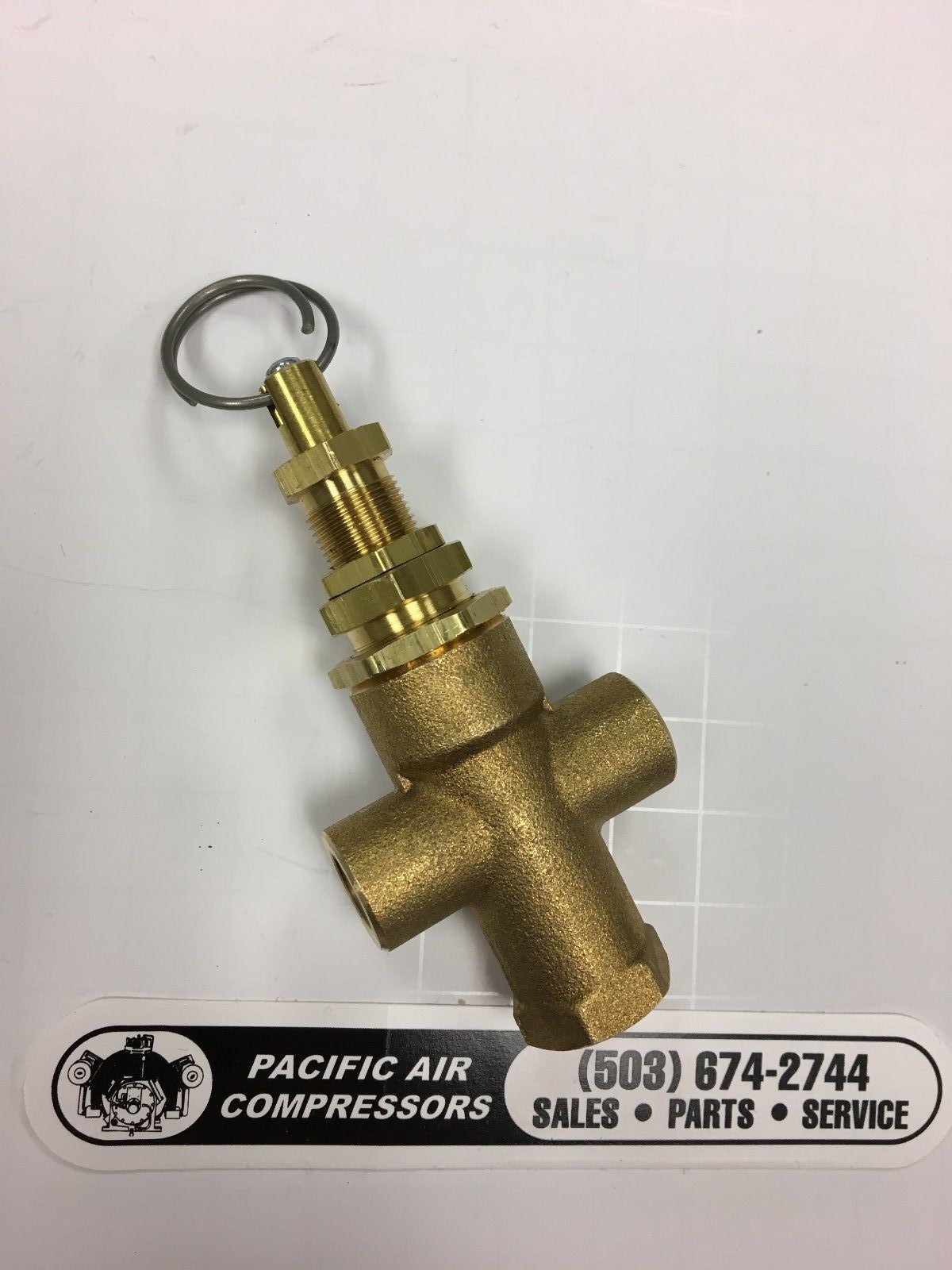 M2853 CHAMPION PILOT VALVE 1/4" FPT 145175 PSI HGR73H, HGR73K, HGR5