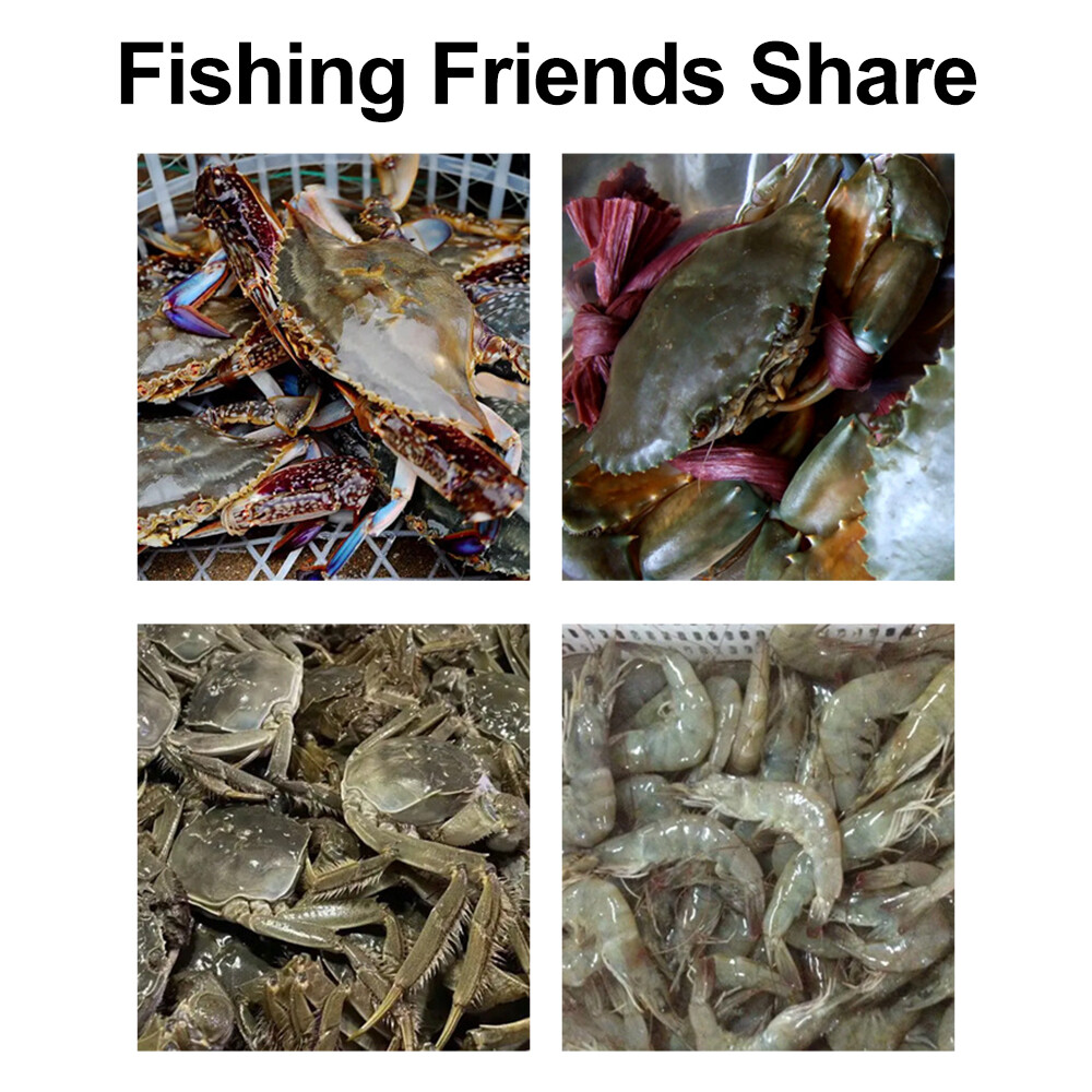 Crab Lobster & Crayfish Snare Trap Cage Pot Sea Pier Kayak Fishing