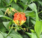 Bild 8 von 9