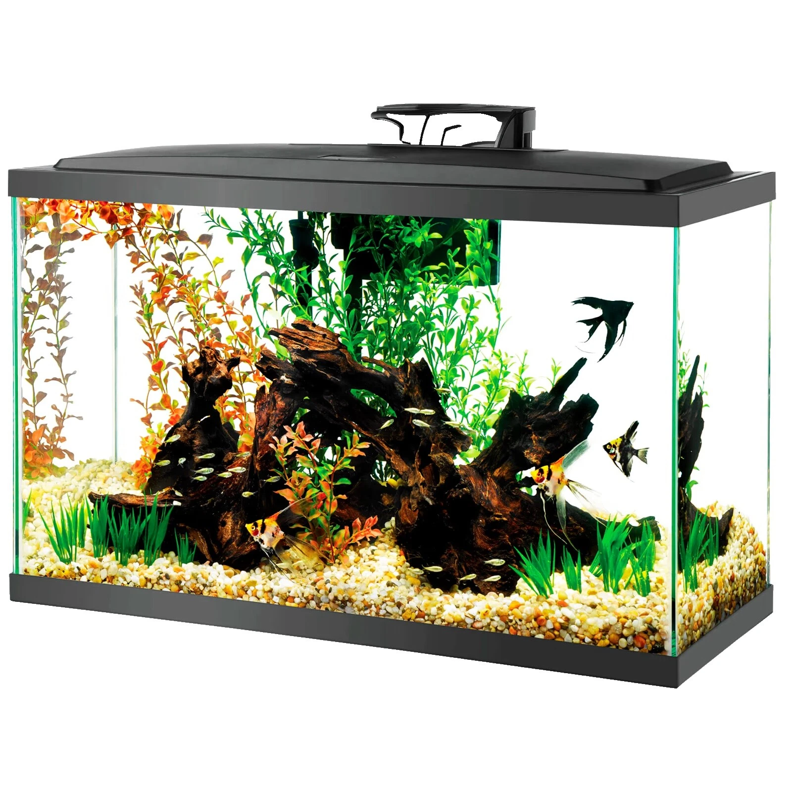 Tanque de Vidro Aqueon Suporte para Aquários e tanques de Plástico