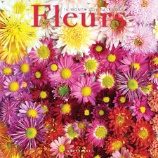 2026 Fleurs Wall Calendar | 12” X 12” | Thick Paper | Home & Office Organizer | 