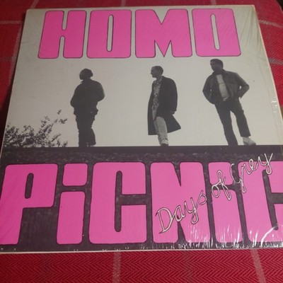 HOMO PICNIC -DAYS OF GREY- US VINYL