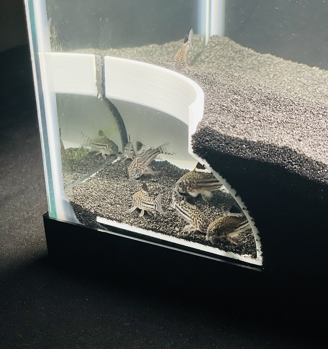 Bottom Dweller Aquarium Cave Hideout Corner Fish Tank Decorations