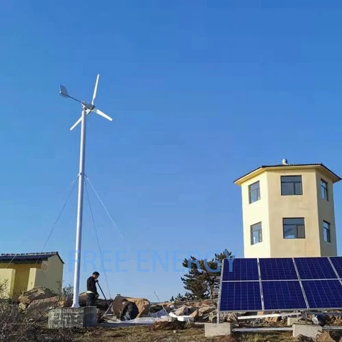 Generador de turbina eólica horizontal 3000W 24V 48V 3 palas molino de viento con controlador - Imagen 19 de 23