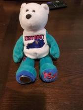 Kentucky Limited Treasures 50 States Of America Quarters Coin Bear 15th