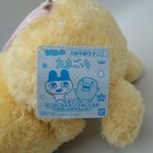 Picture 9 of 9