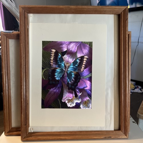 Butterfly On An orchid Holographic Wall Art Poster Print Picture - Picture 2 of 4