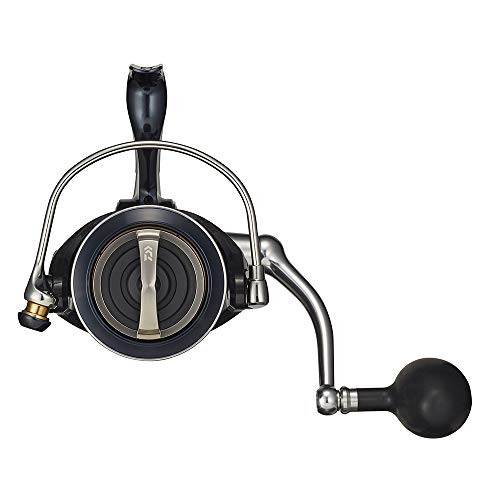 Daiwa 14000-XH 21 Celtate SWNEW | eBay
