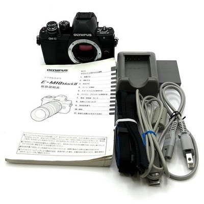 【Good】Olympus OM-D E-M10 Mark II Shutter Issue Tilt/Reverse Fault