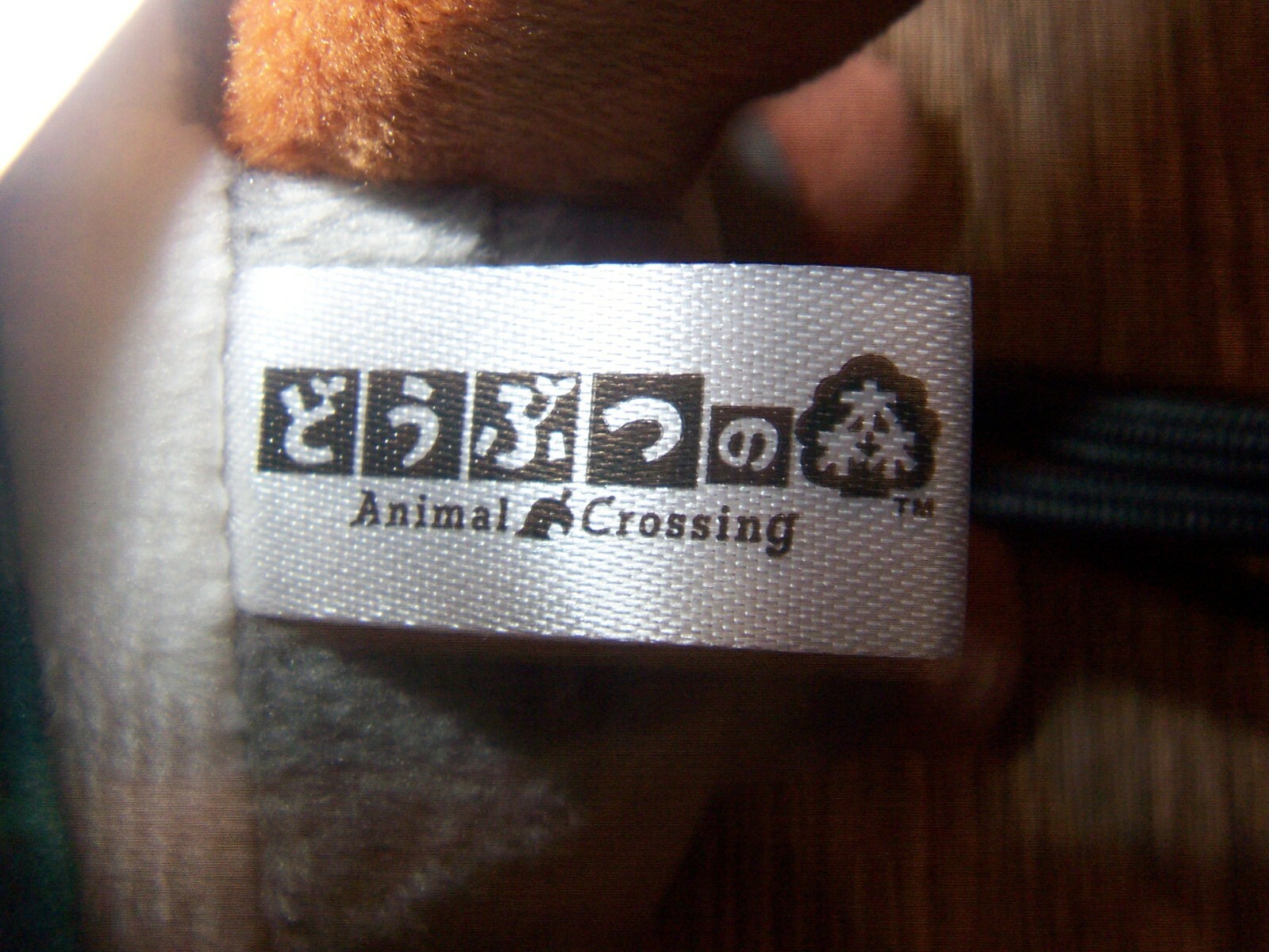 Picture 7 of 11